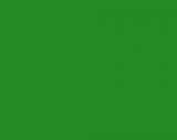 Fondale in Carta 2.72 x 10m Verde Chroma Key