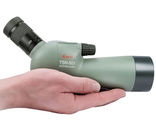 Kowa cannocchiale TSN-501 angolato, con zoom 20x-40x