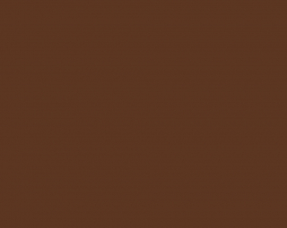 Fondale in Carta 2.72 x 11m Coco Brown