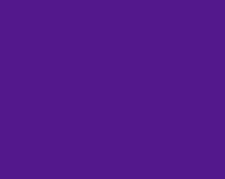 Fondale in Carta 2.72 x 10m Deep Purple