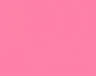 Fondale in Carta 2.72 x 11m Carnation Pink