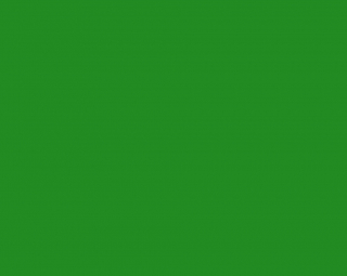 Fondale in Carta 2.72 x 10m Verde Chroma Key