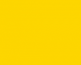 Fondale in Carta 2.72 x 11m Fortythia Yellow