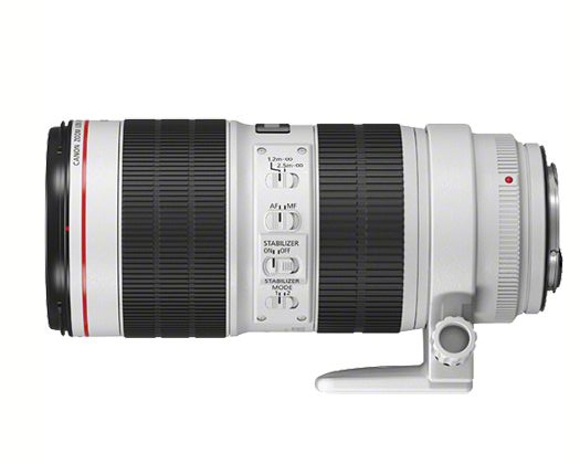 Canon 3044C005 camera lens