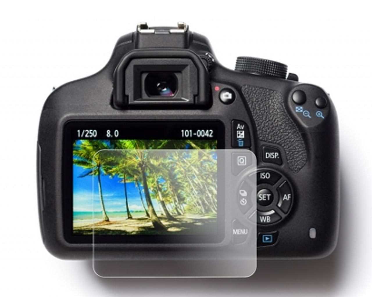 Easycover Screen protector Canon 5DMKIV / 5DMKIII / 5DS / 5DSR / Tempered Glass