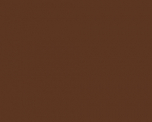 Basic Papier de fond 2,72 x 11 m Coco marron