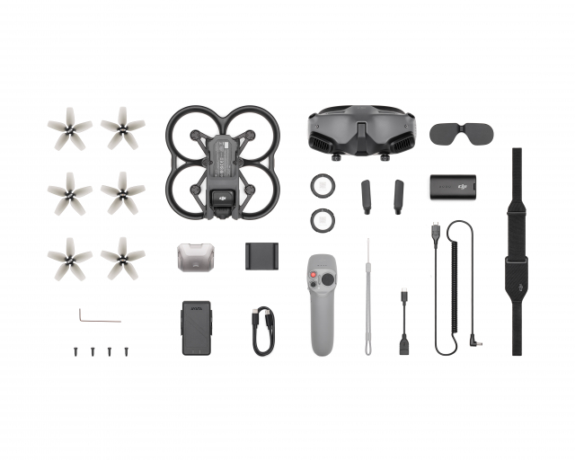 Dji Dji - Avata Pro- View Combo (Googles 2)