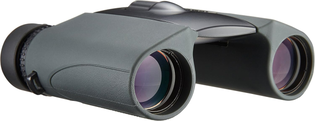 Nikon Nikon Binocolo 10x25  DCF Sportstar IV EX Gar. Nital 10 anni