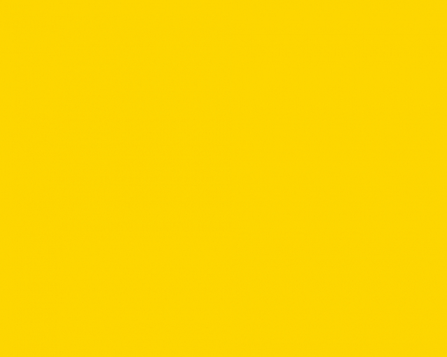 Basic Fondale in Carta 2.72 x 11m Fortythia Yellow