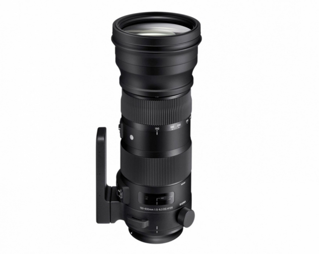 Sigma SIGMA OB. 150-600 SPORT X NIKON Noleggio