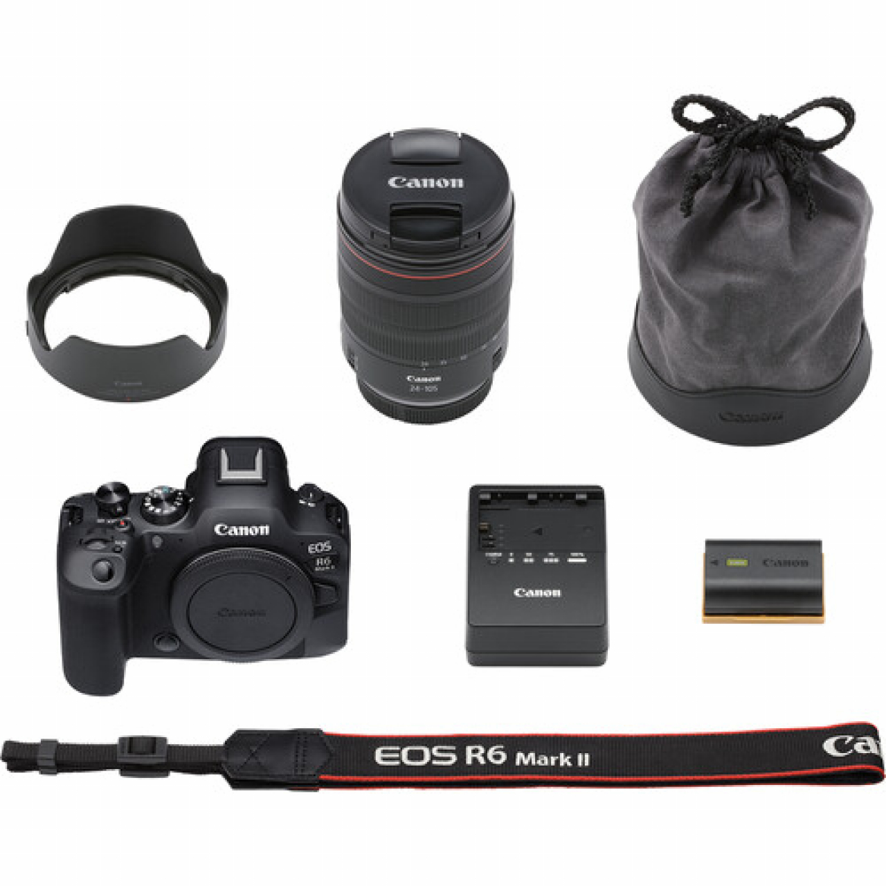 Canon Canon EOS R6 Mark II + RF 24-105mm F4 L IS USM