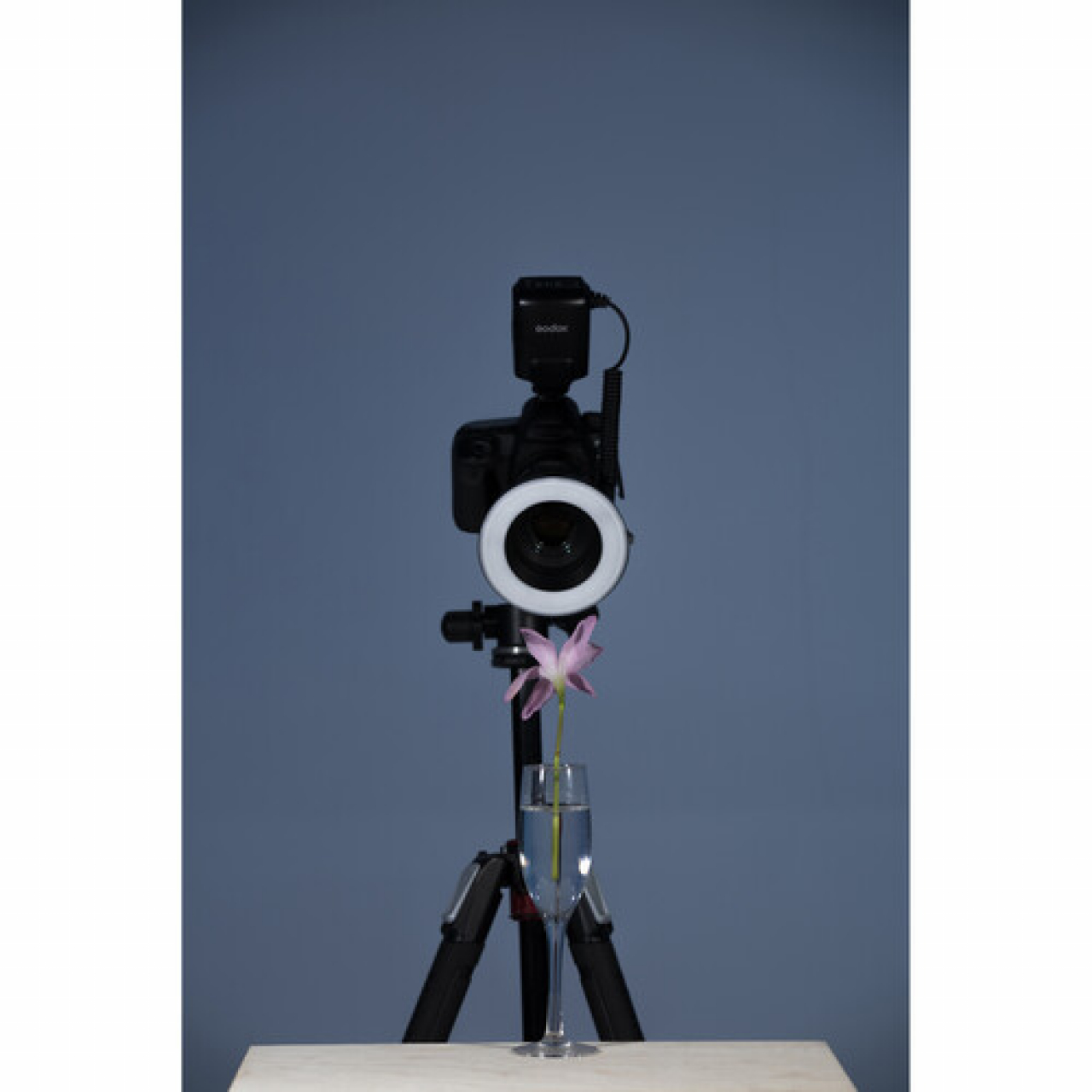Godox Godox Flash Anulare Macro ML-150 II