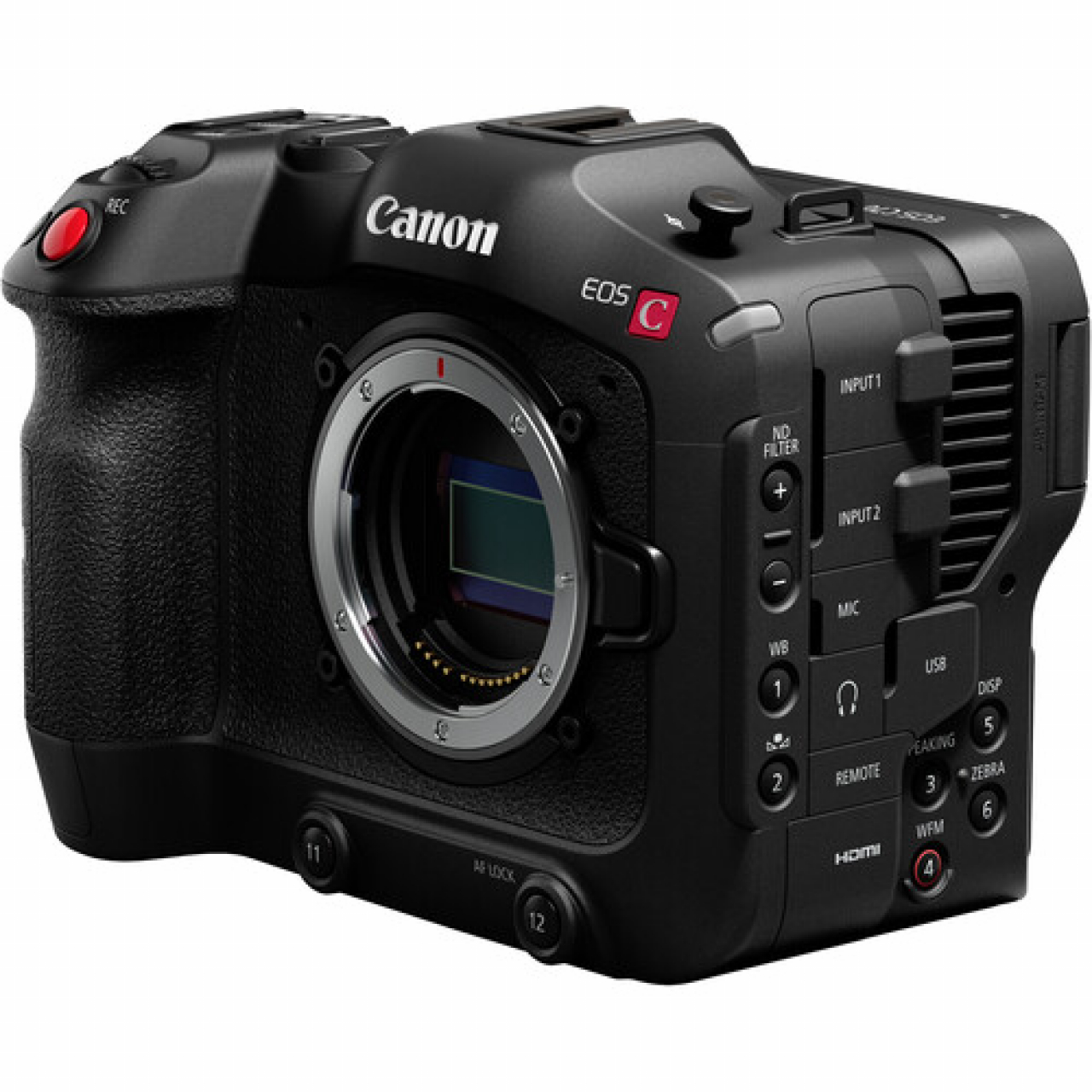 Canon pro video Canon Cinema EOS C70