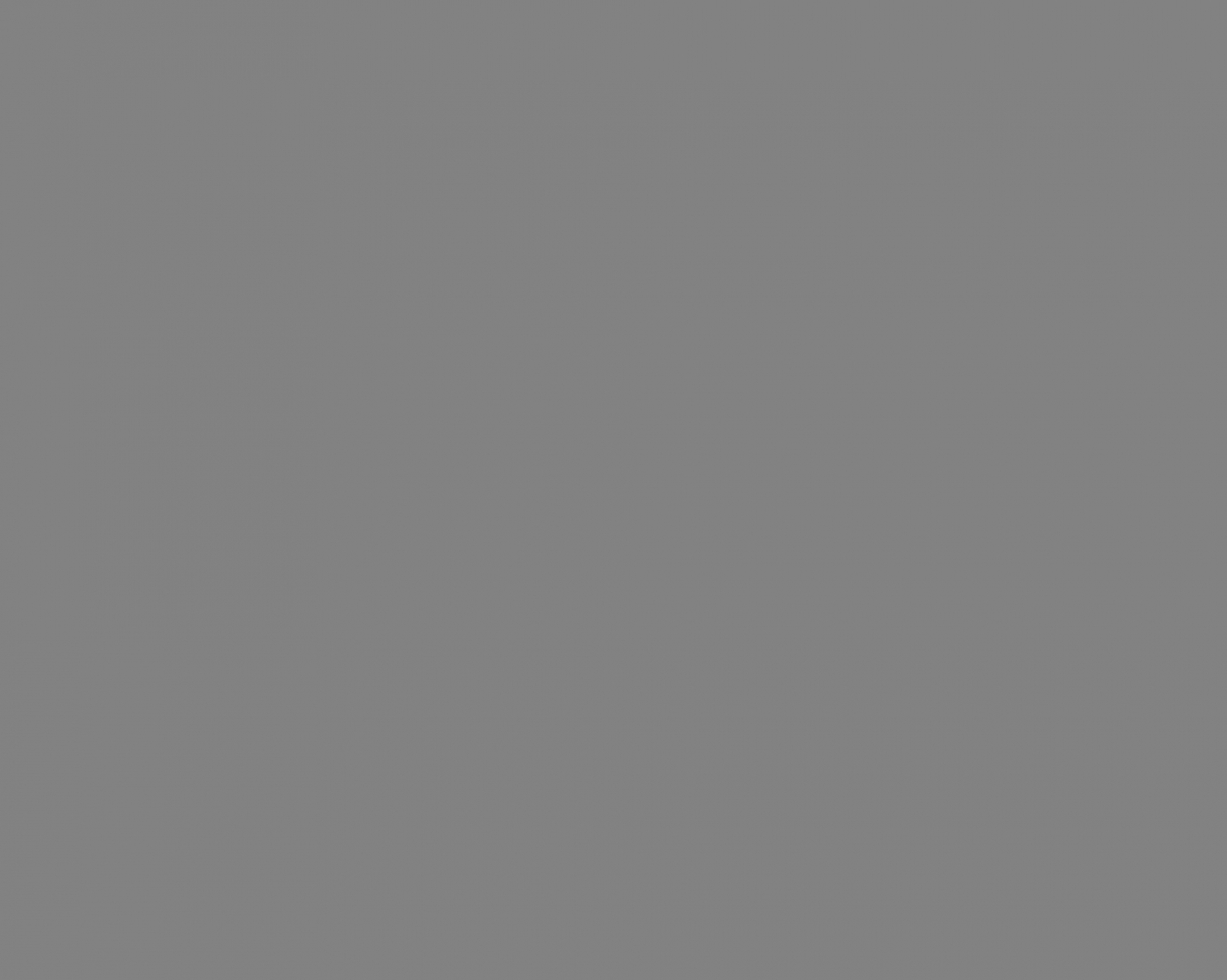 Basic Fondale in Carta 2.72 x 11m Grigio Natural