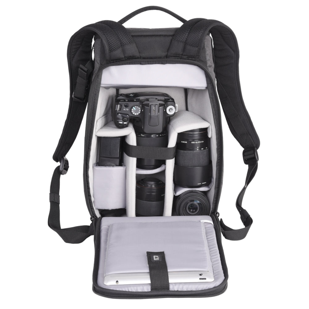 Vanguard Vesta Aspire 41GY