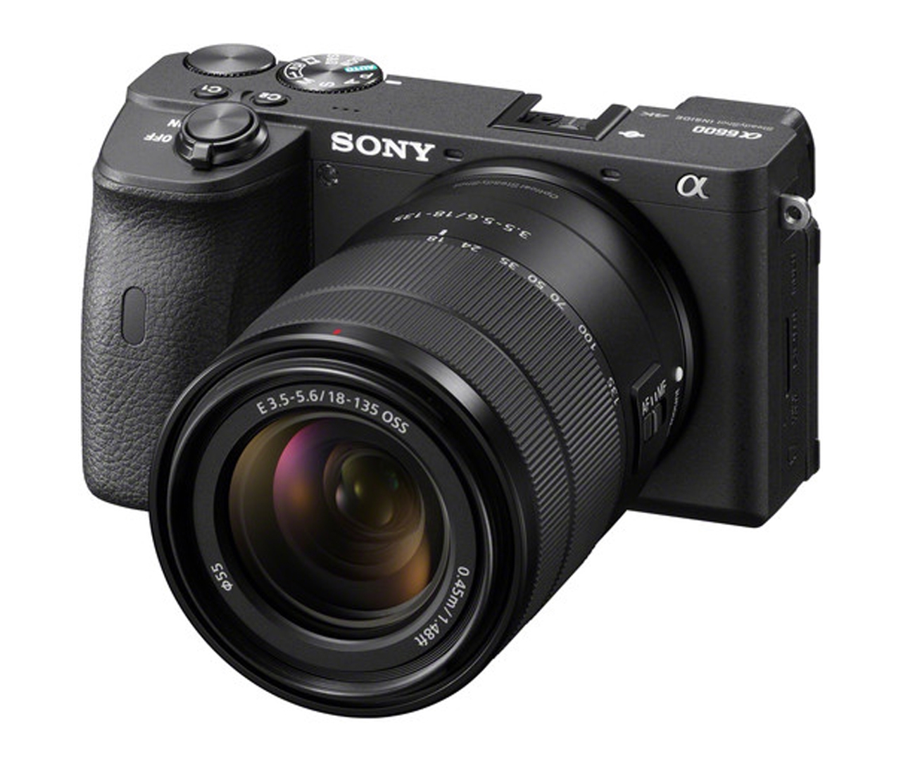 Sony Sony α ILCE6600MB + 18-135mm