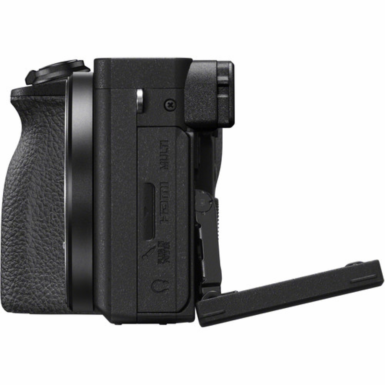 Sony Sony α ILCE6600MB + 18-135mm