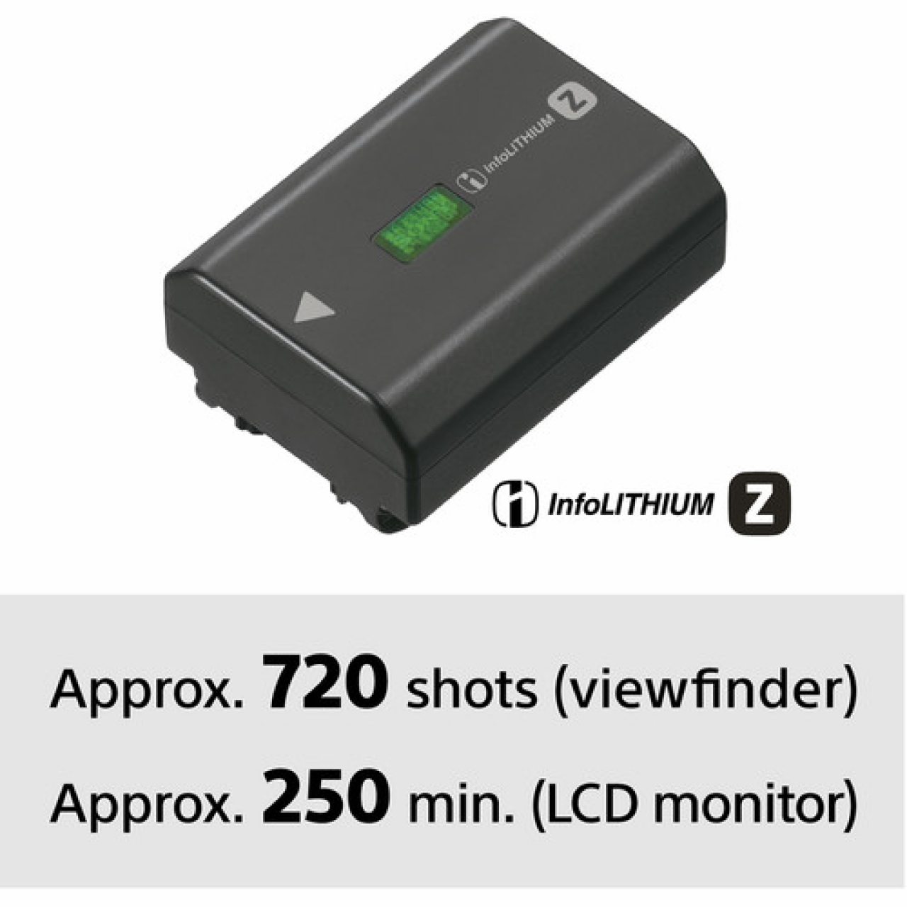 Sony Sony α ILCE6600MB + 18-135mm