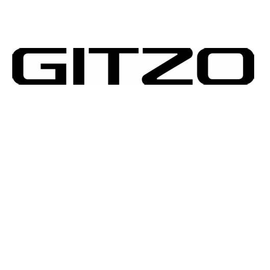 Gitzo GITZO  Traveler Monopiede Serie 2 , 6 Sez. GM2562T
