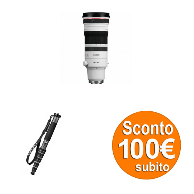 Canon Canon RF 100-300 2,8 L IS USM