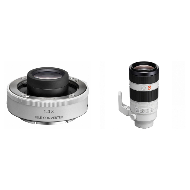 Sony Sony Teleconvertitore 1.4x - SEL14TC
