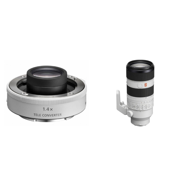 Sony Sony Teleconvertitore 1.4x - SEL14TC