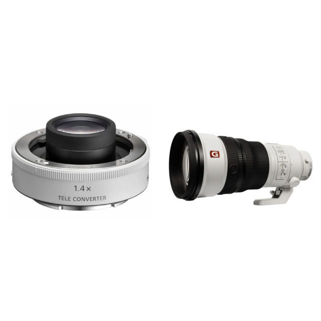 Sony Sony Teleconvertitore 1.4x - SEL14TC