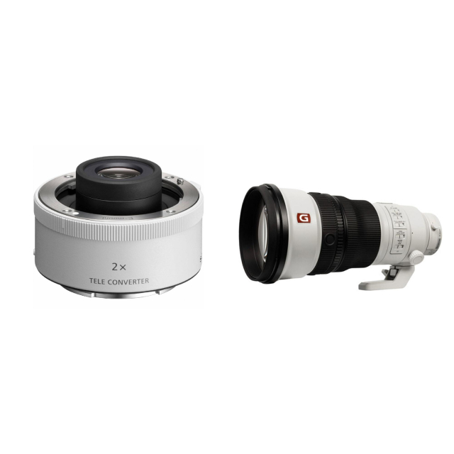 Sony Sony SEL20TC