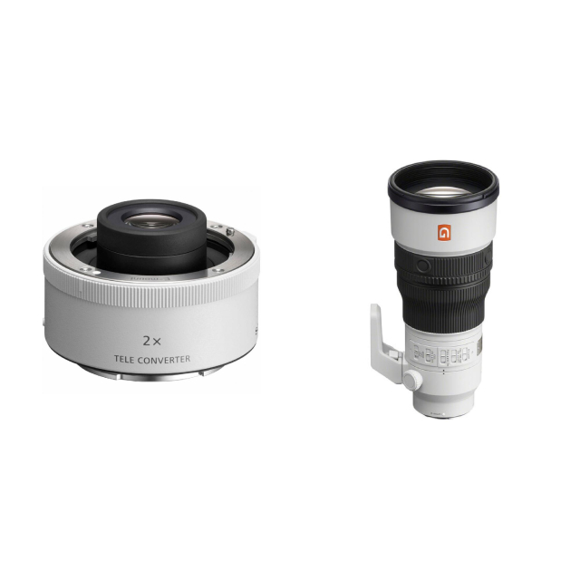 Sony Sony SEL20TC