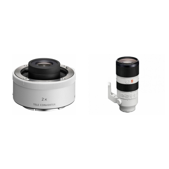 Sony Sony SEL20TC